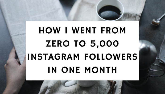 how i went from zero to 5 000 instagram followers in one month our first cheat sheet - cheat instagram followers 2017