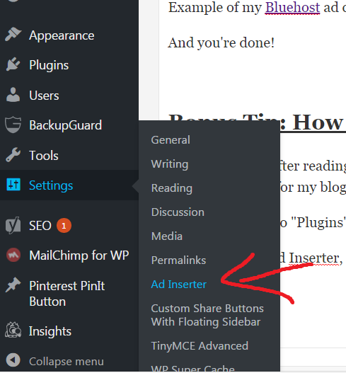 how to insert ads into your WordPress blog