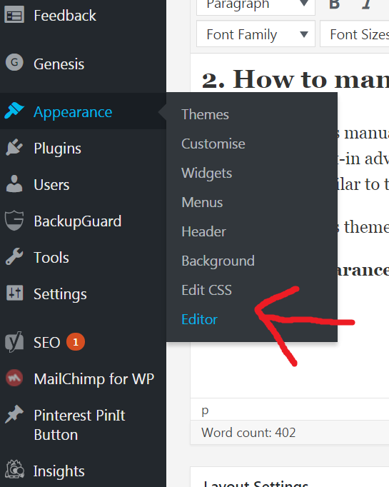 how to insert ads into your WordPress blog