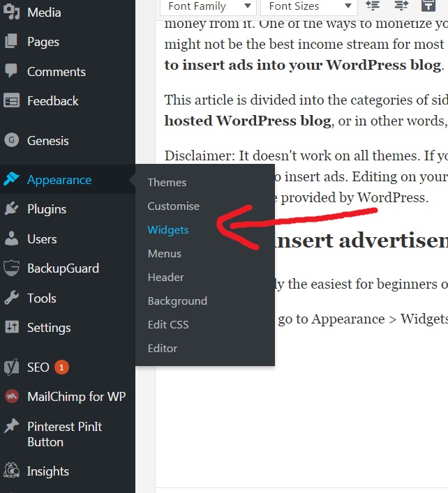 how to insert ads into your wordpress blog