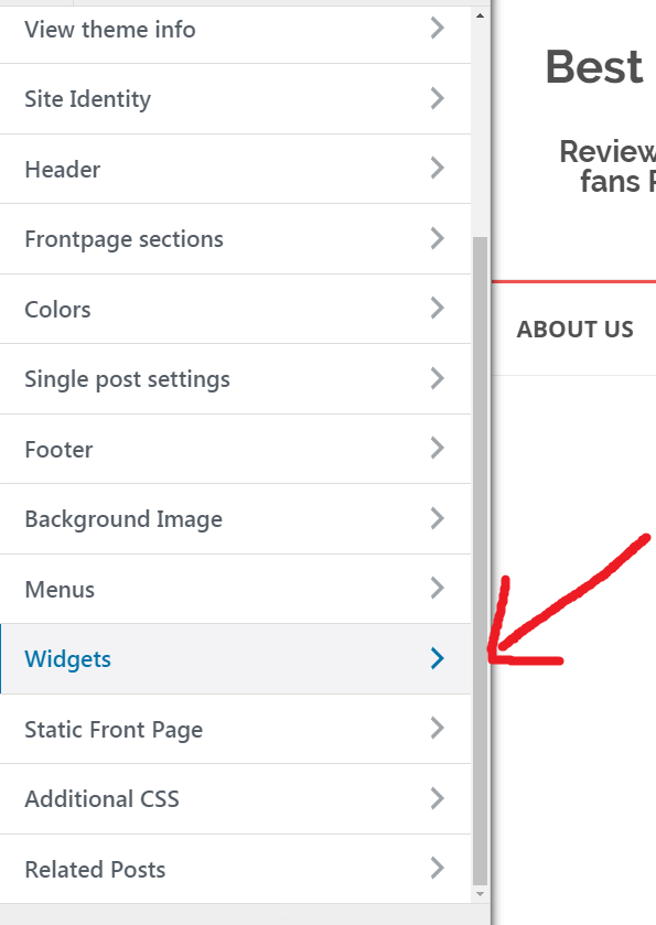 How To Insert Ads Into Your WordPress Blog