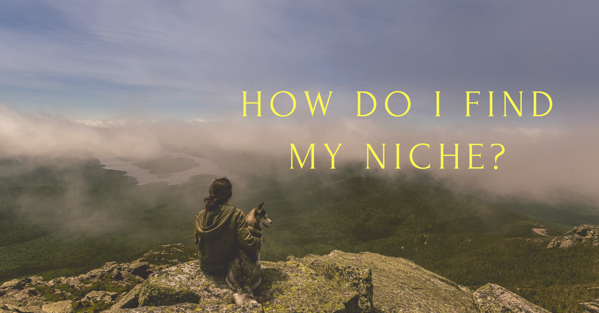 how do you decide on a niche for your blog