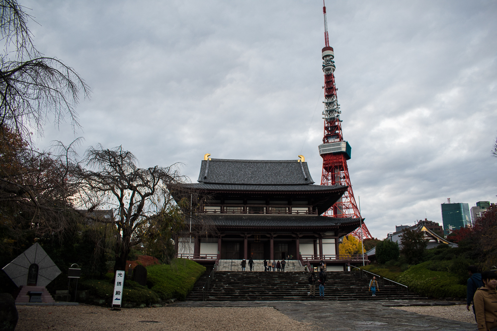 what to do at tokyo tower