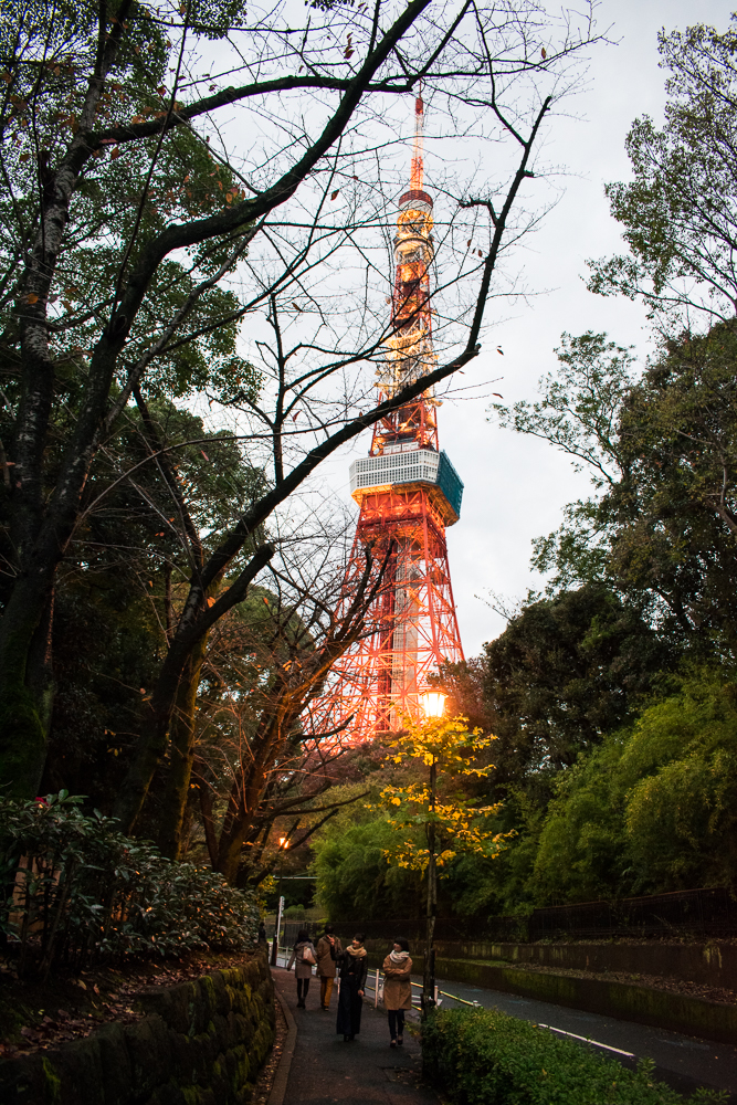 things to do at tokyo tower