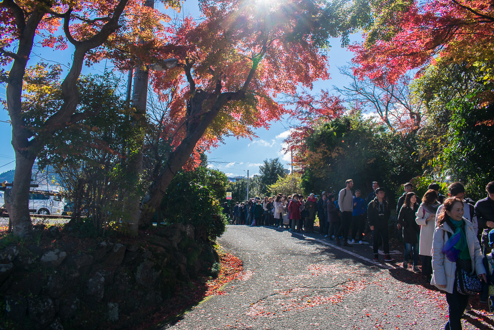 where to go in hakone