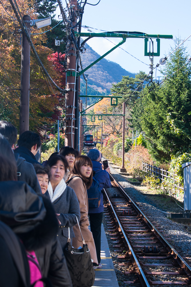 attractions in hakone