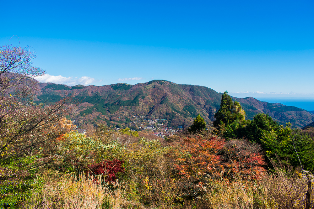 hakone day trip