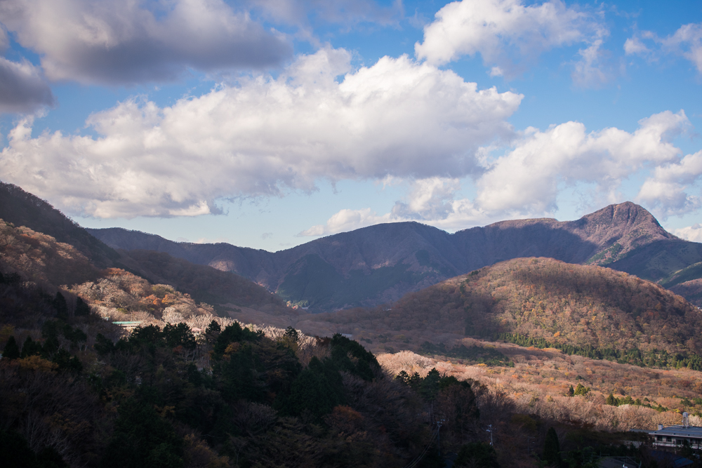 what to do at hakone