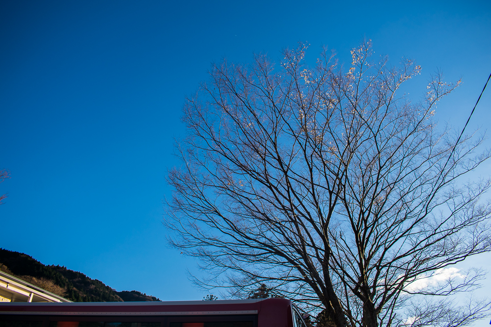 take bus in hakone