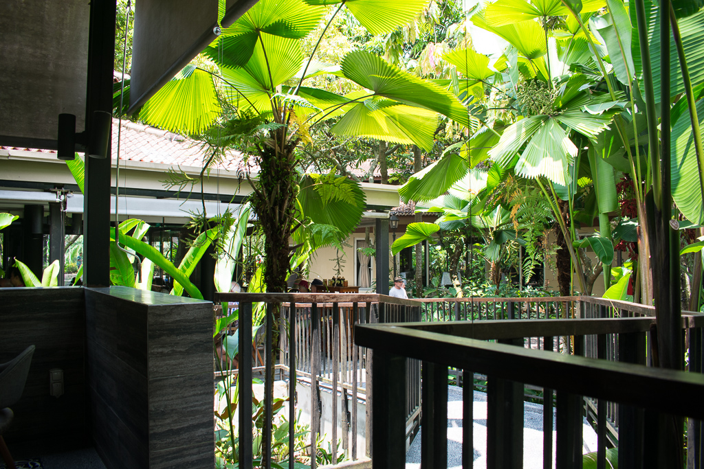 review of the halia restaurant singapore botanic gardens