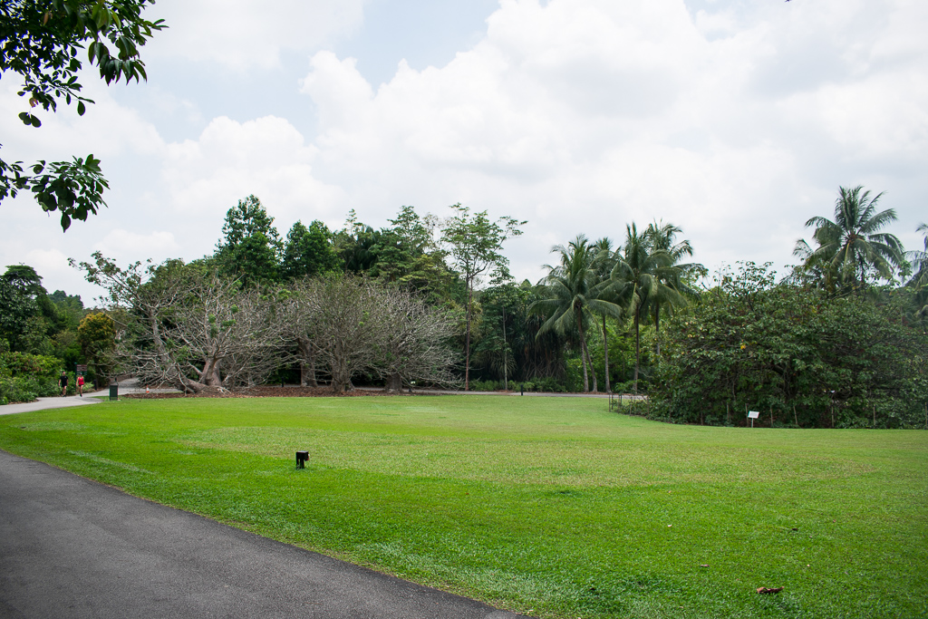 singapore botanic gardens review