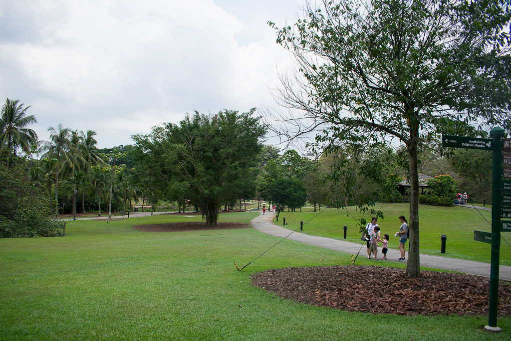 review of singapore botanic gardens