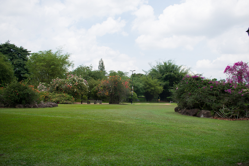 singapore botanic gardens 2018