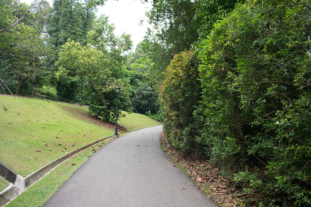 review singapore botanic gardens