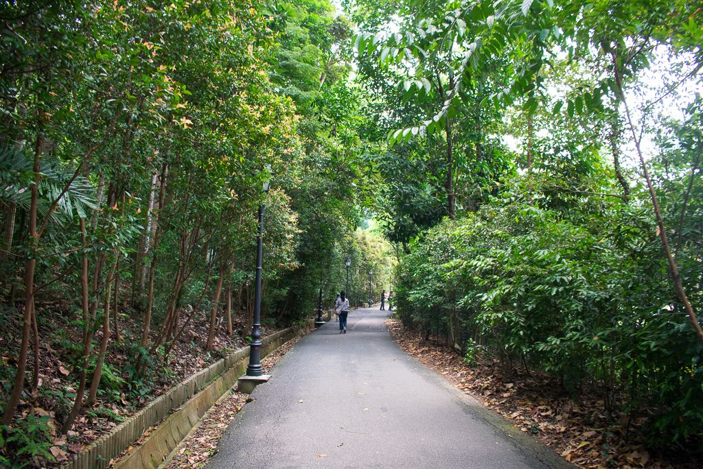 singapore botanic gardens review