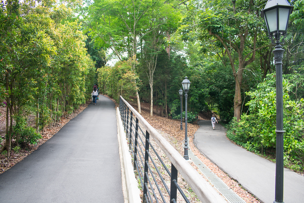 singapore botanic gardens photos