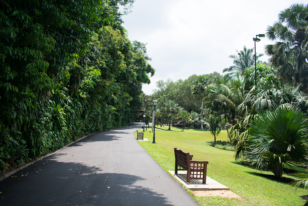 botanical garden in singapore