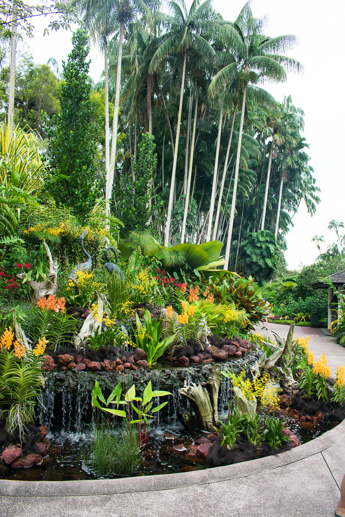 singapore botanic gardens sightseeing