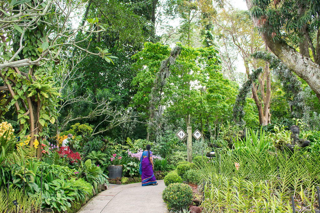 singapore botanic gardens plants