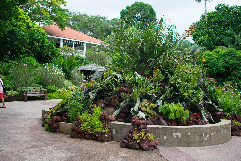 singapore flowers