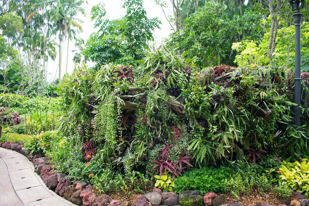 singapore botanic gardens