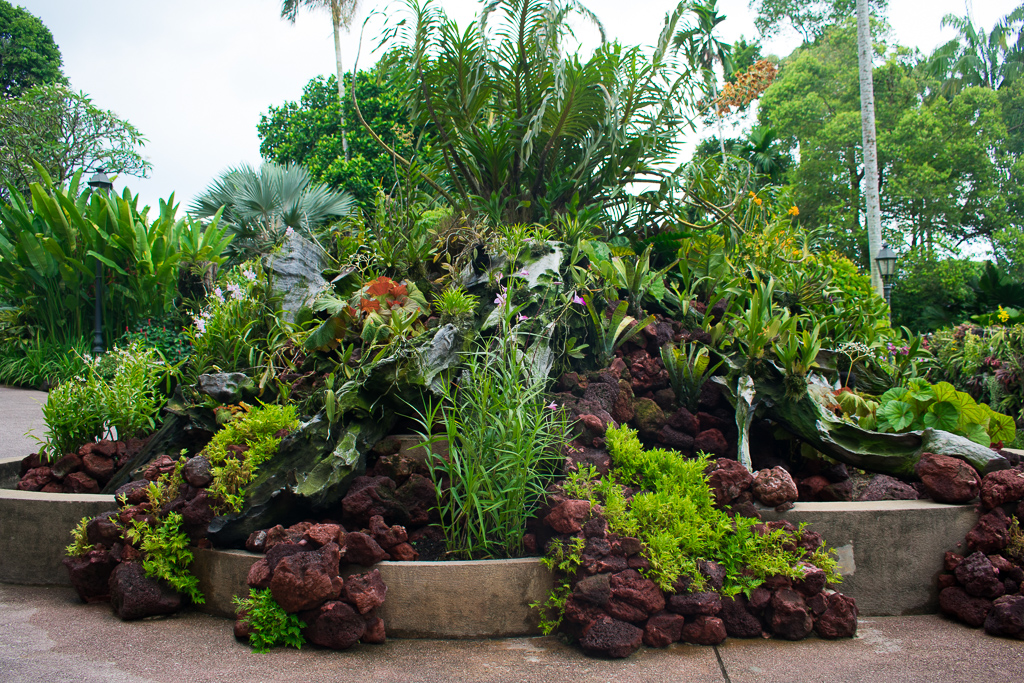 singapore botanic gardens