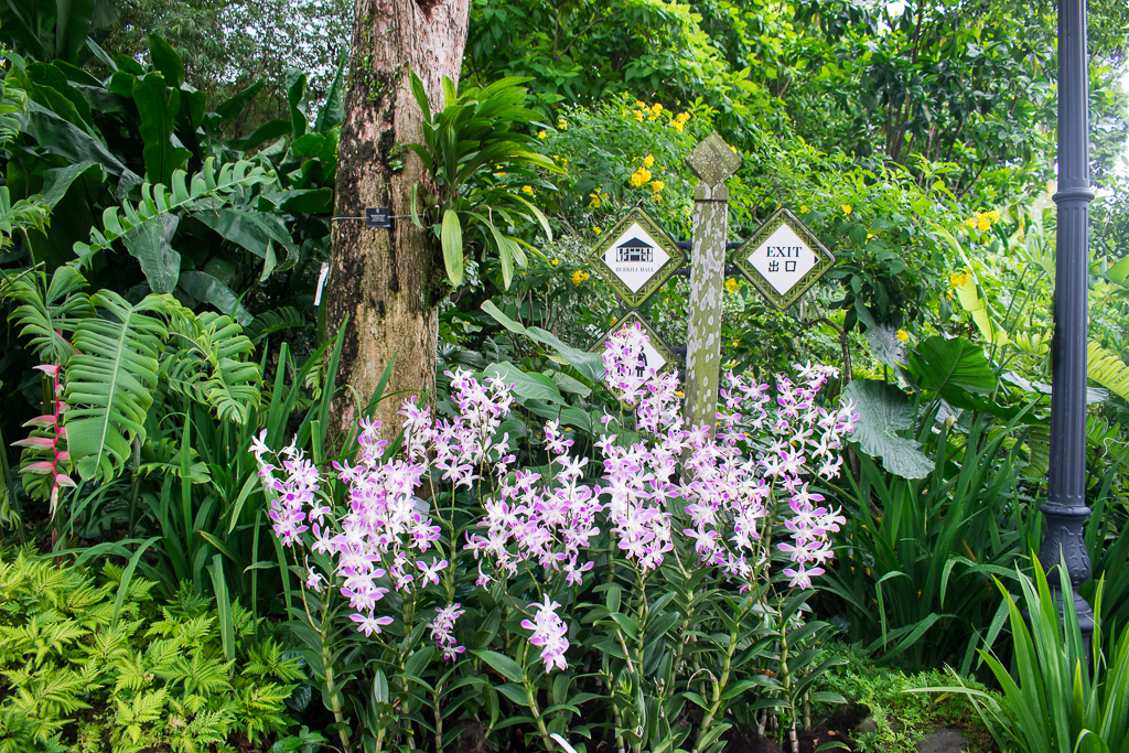 singapore botanic gardens reviewed