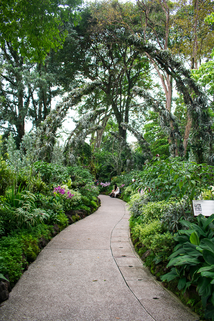 sightseeing at singapore botanic gardens