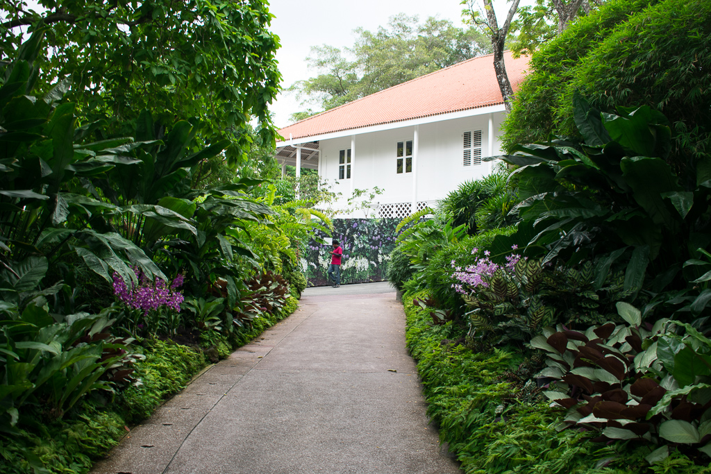 travel to singapore botanic gardens