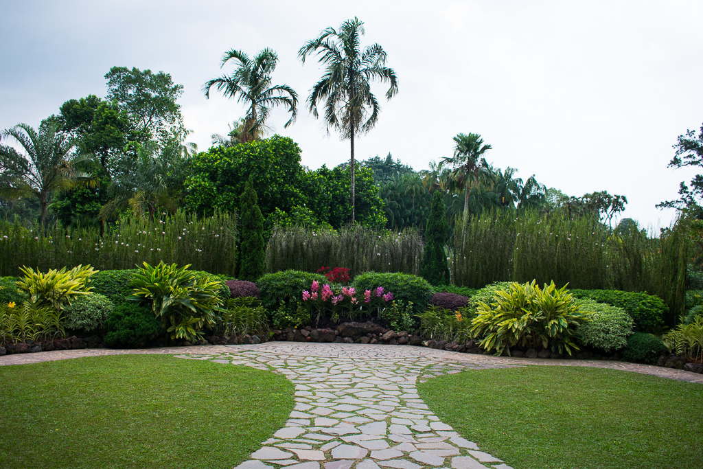 singapore botanic gardens