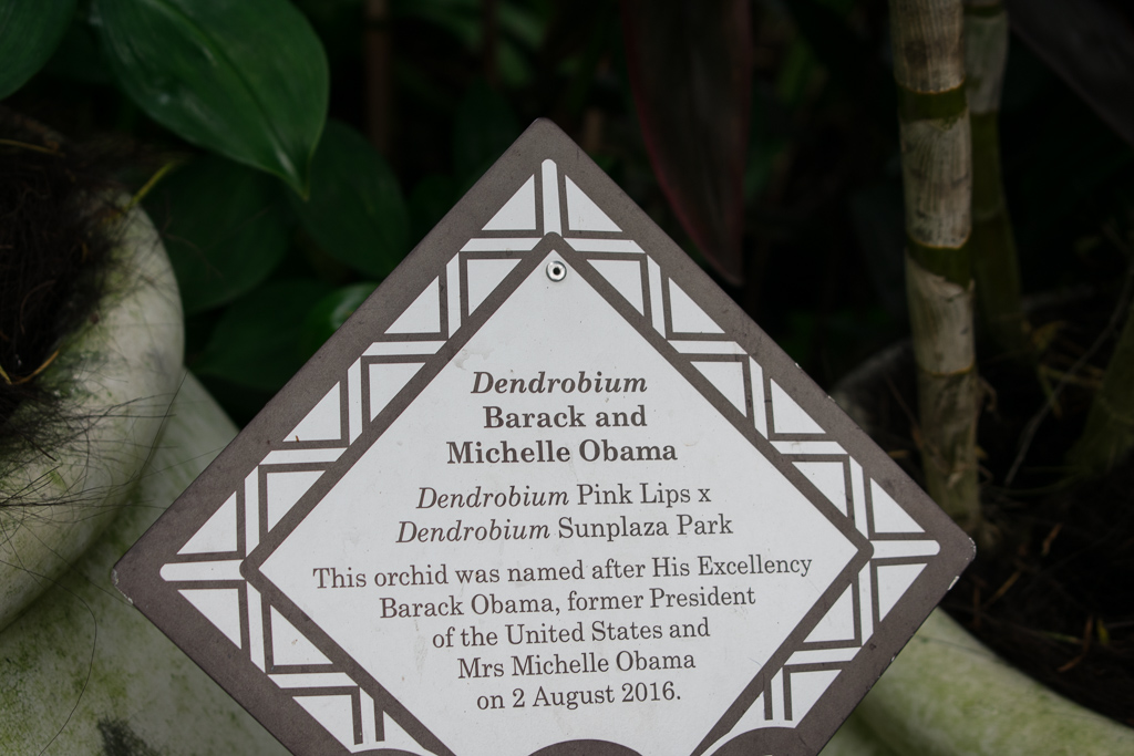 michelle obama singapore botanic gardens