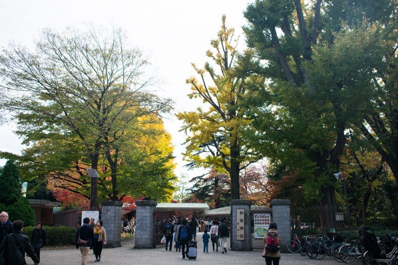 shinjuku gyoen entrance