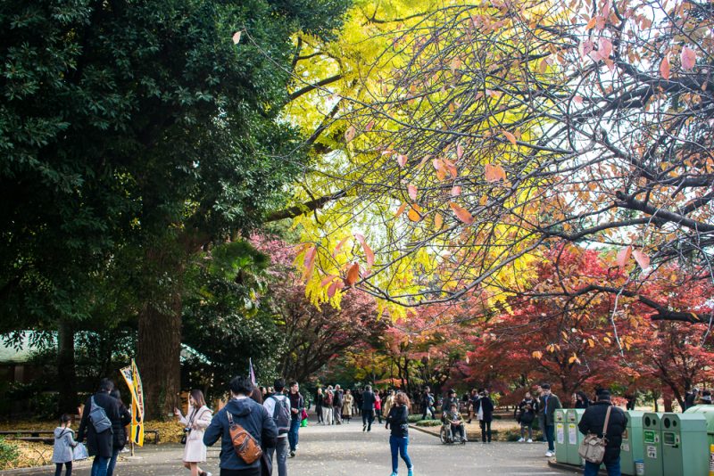 shinjuku gyoen autumn