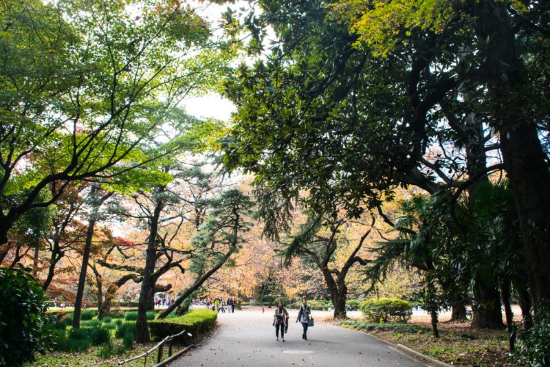 shinjuku gyoen review