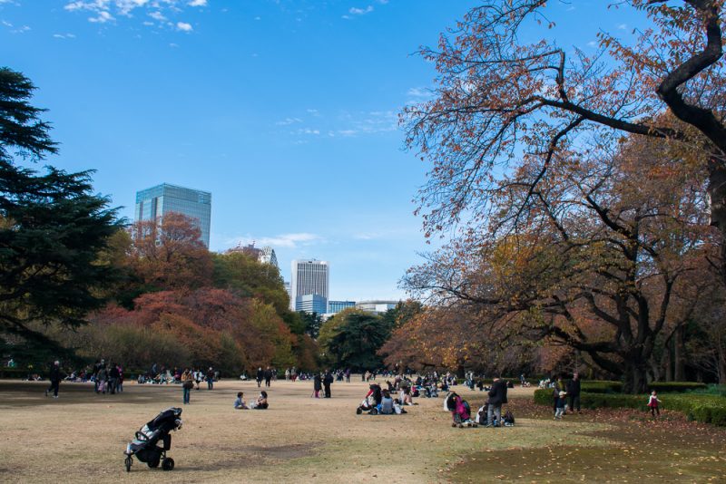 best parks in tokyo - shinjuku gyoen