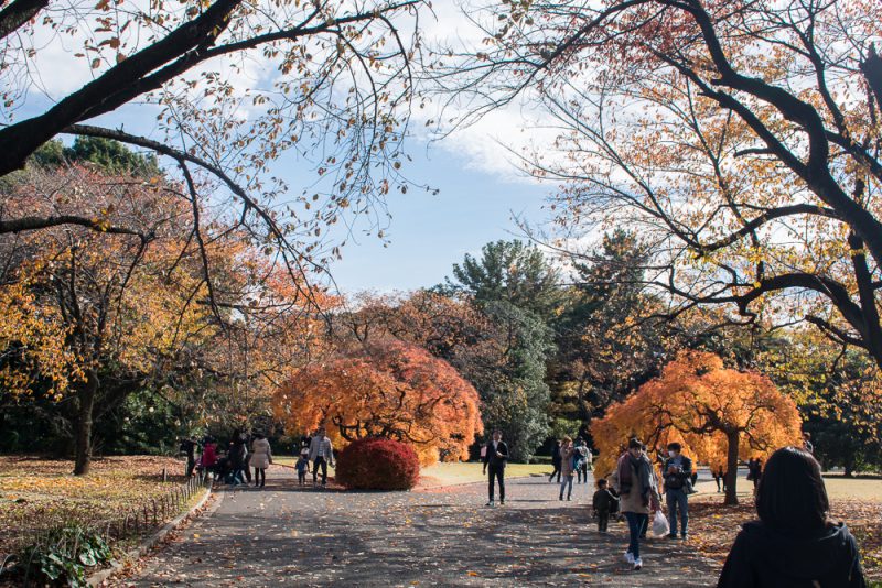 shinjuku gyoen park review