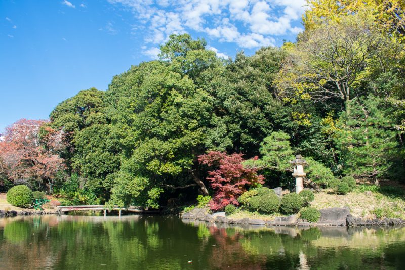 shinjuku gyoen tokyo