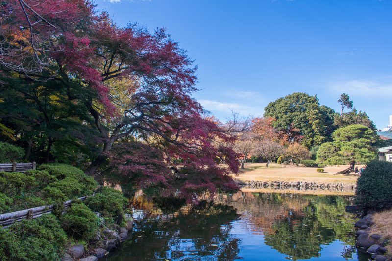 shinjuku gyoen tokyo japan