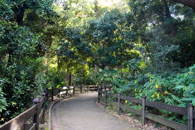 shinjuku gyoen review