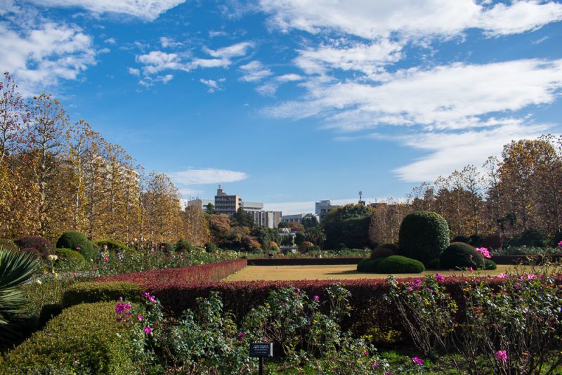 top park in japan