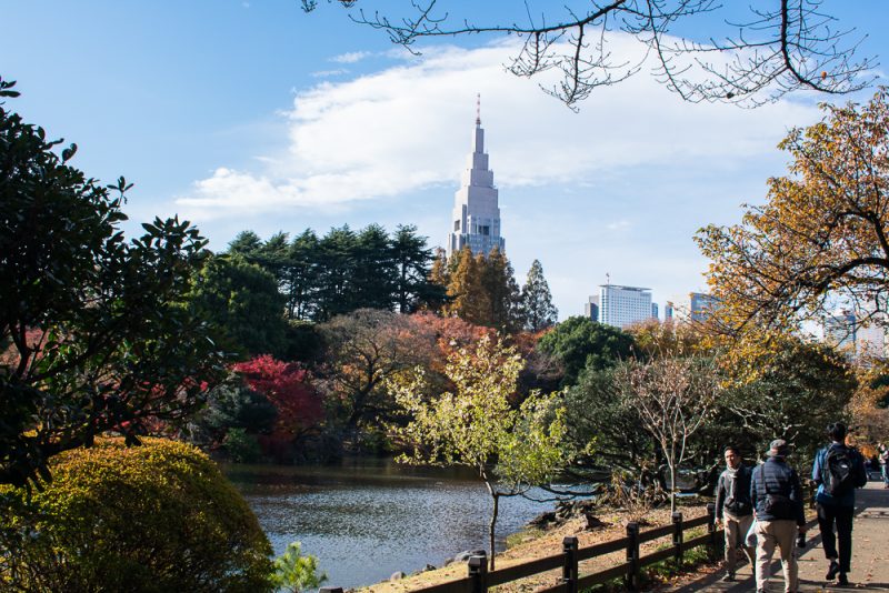 things to do shinjuku gyoen