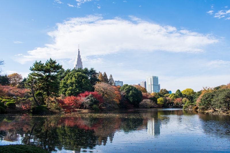 what to see shinjuku gyoen