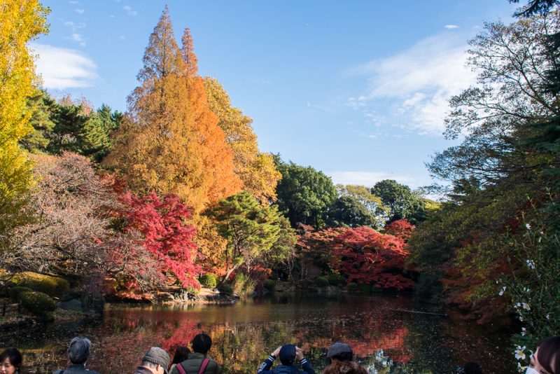 what to do at shinjuku gyoen