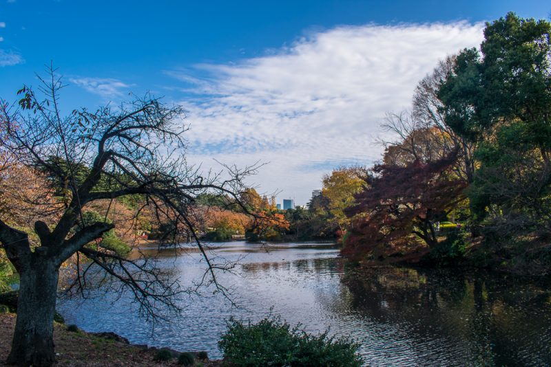 shinjuku gyoen