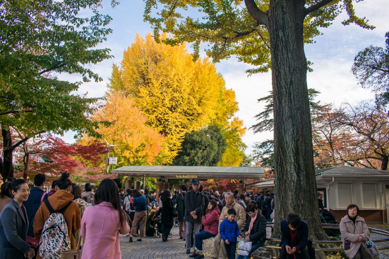 shinjuku gyoen exit