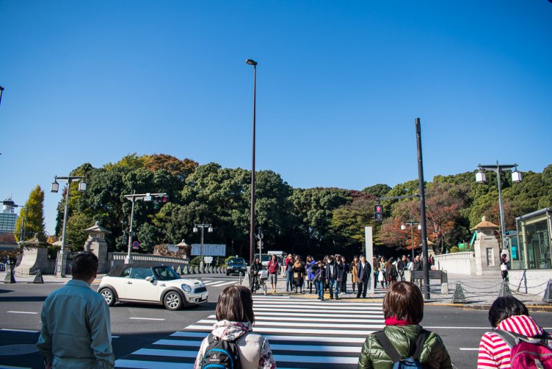 meiji shrine