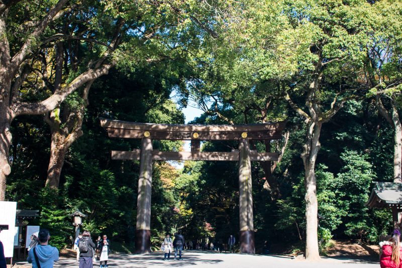 things to do at meiji shrine