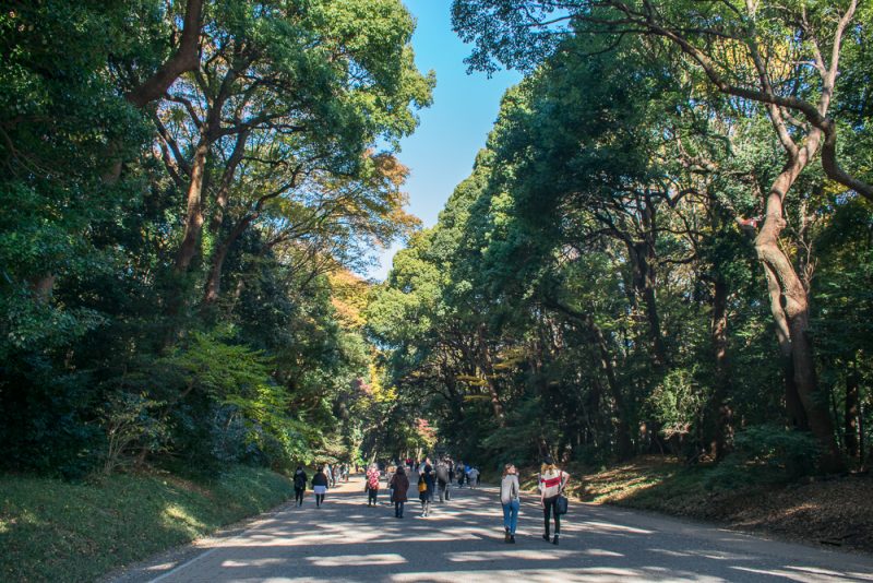 meiji shrine photos