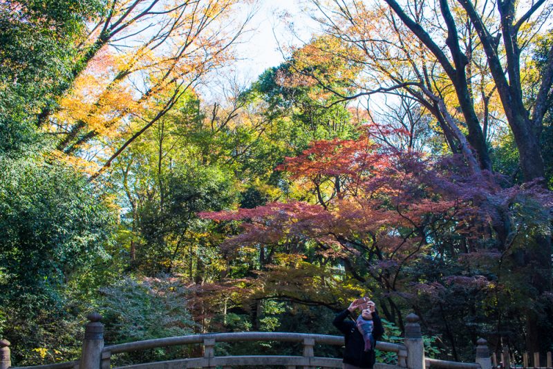 things to do at meiji shrine