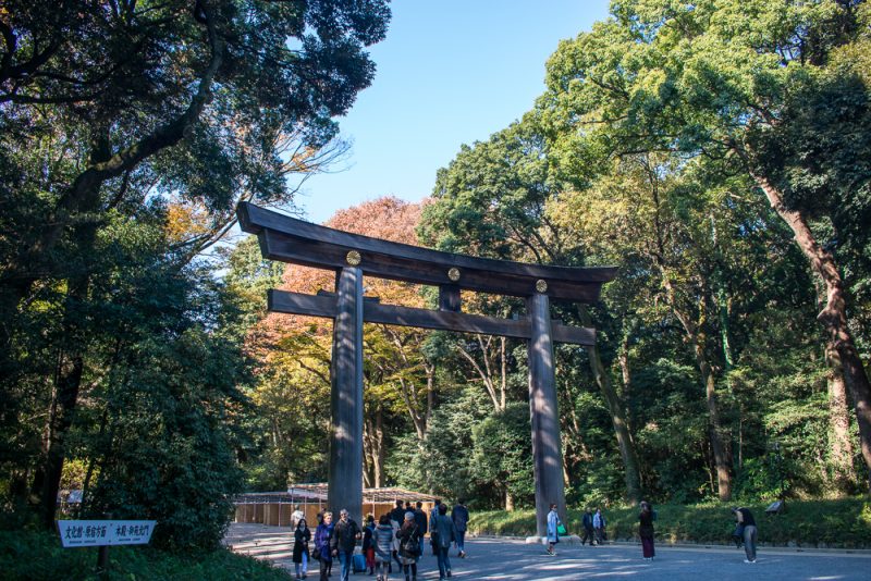 things to do meiji shrine